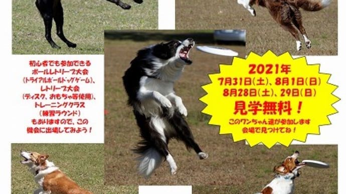 今週末は青森大会