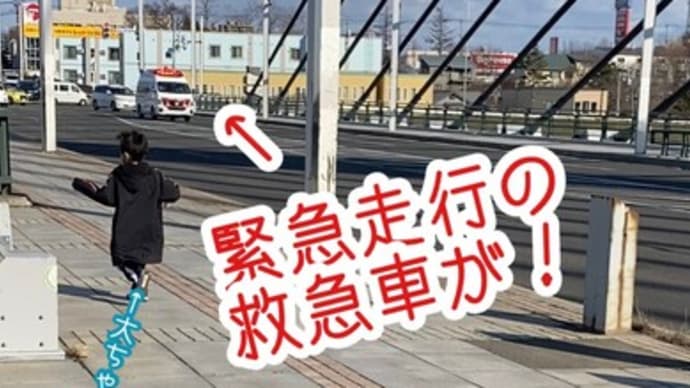 またここを歩いてたら救急車が緊急走行!救命士さん大変だなぁ。