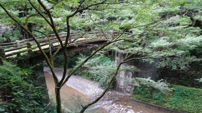 瀬戸川上流(滝ノ谷川)の不動峡