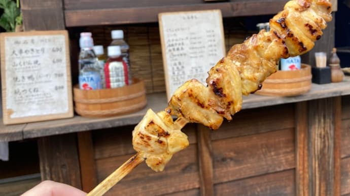 【日光キャンピングカーの旅・前編】日光東照宮と日光江戸村