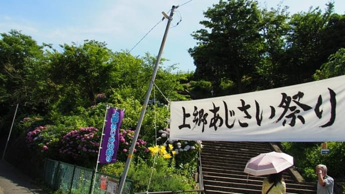あじさいの花咲く丘