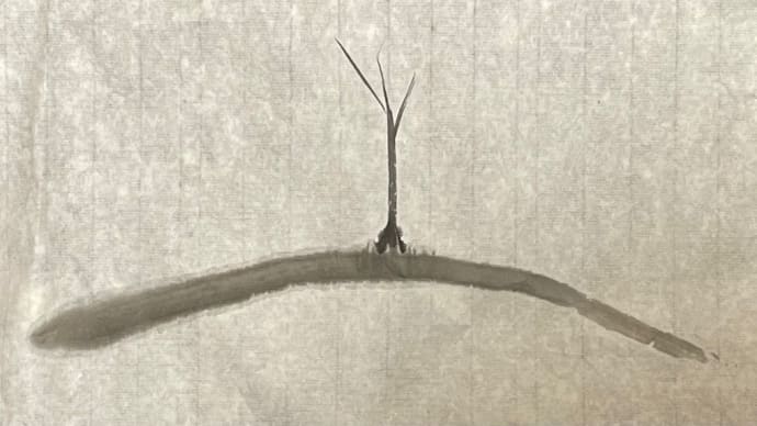 孤独の木