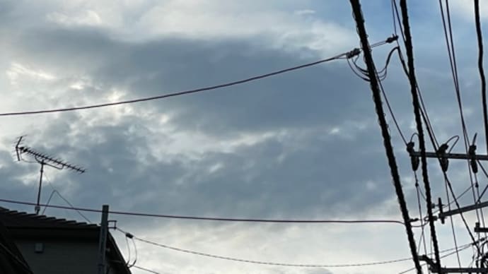 肺みたいな雲
