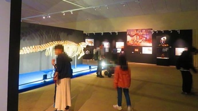 絶滅させないために、できること
