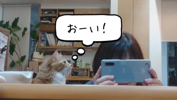 沢山の眼で見たい。