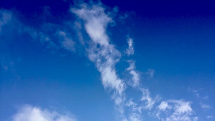 いつかの朝さんぽっ♡青空とワタシ③ コロナが落ち着いたら、また会いましょう!