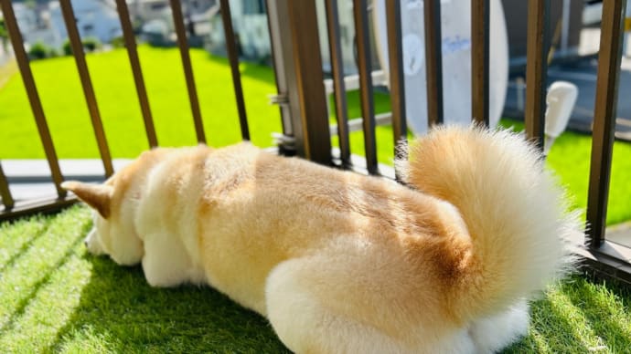雨が降っても涼しくならない