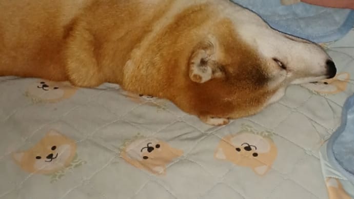 へそてん