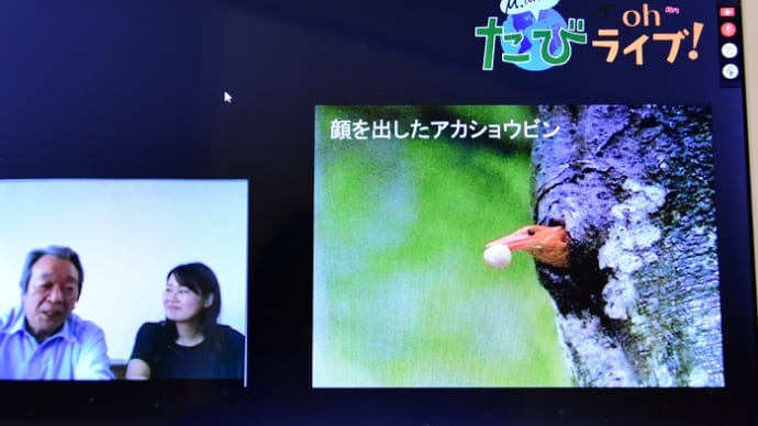 ぶらり寒田　7/2