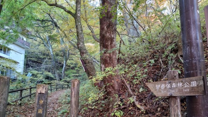 紅葉トレッキング②(伊香保森林公園)