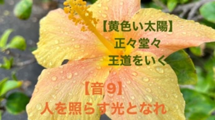 〜マヤ暦 K49 赤い月・黄色い太陽・音10〜 新しい関係性を作っていこう