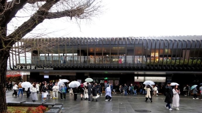 東京国立博物館2025年春の庭園(1)
