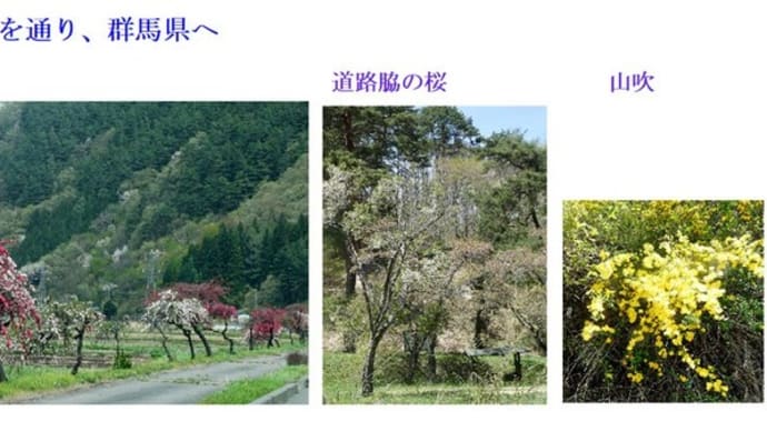 新緑の旧・中山道を通り、群馬県へ - 2025.4下 -