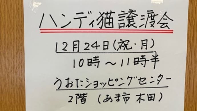 12/15（土）譲渡会報告＆お礼