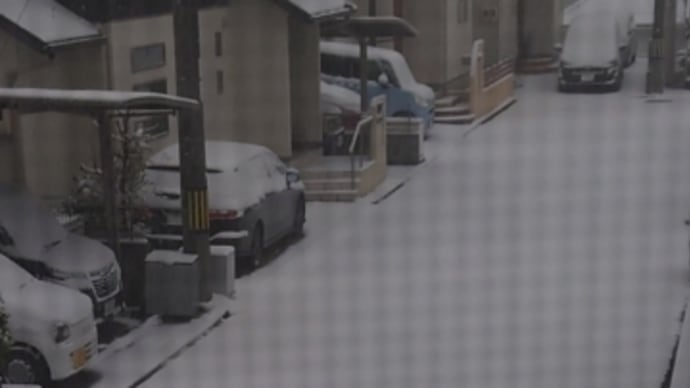 雪です
