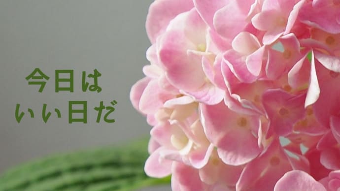 おはようございます💖💖💖