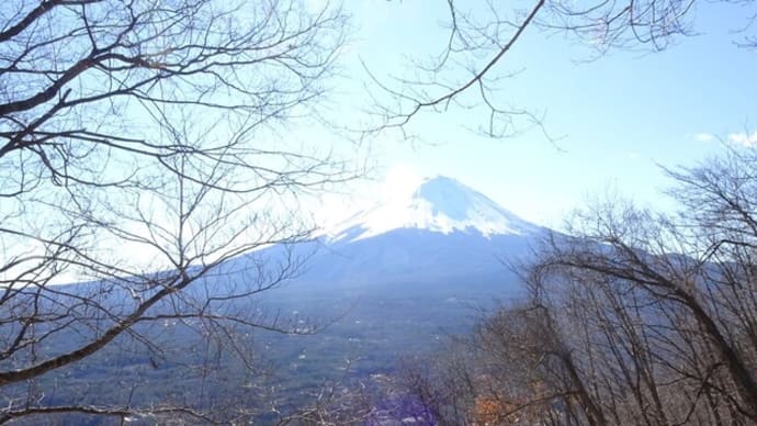 木々の間から 富士山と河口湖