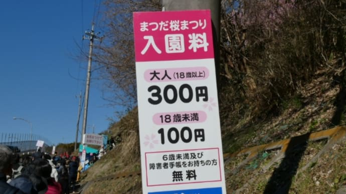 まつだ桜まつり　2023年2月26日