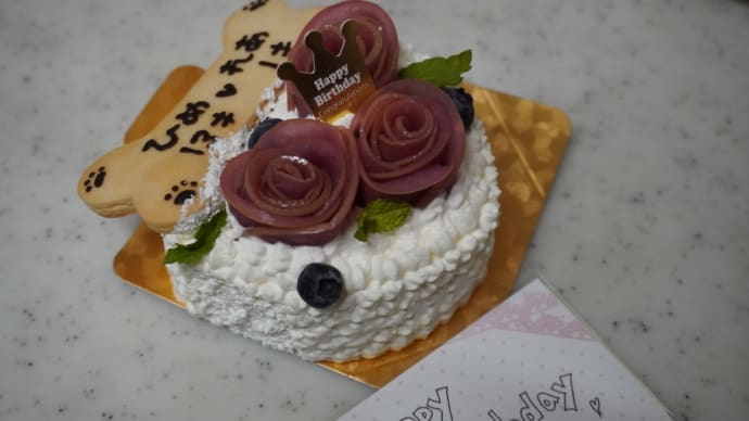少しお休みします