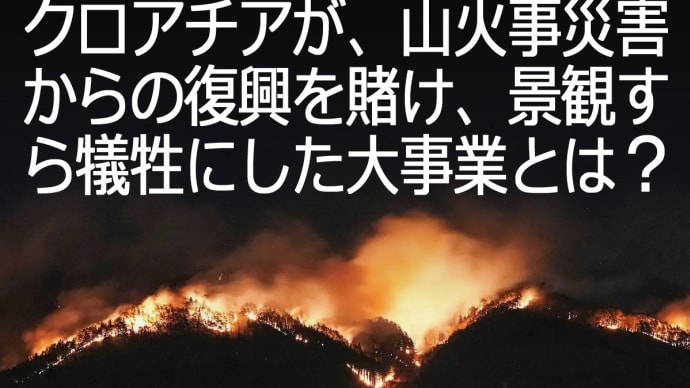 【防げ🔥山林火災】三陸大船渡へのメッセージ:岸辺の市街を襲った山火事、前例クロアチアが「防火の決定打」とした復興事業とは❔