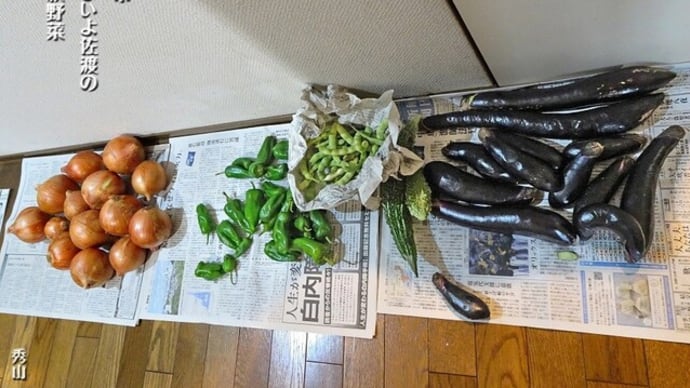 秋野菜の廊下市・・・