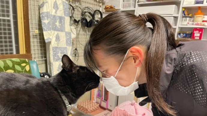 ジジィの日常 1月末から2月にかけて 一挙に写真36枚