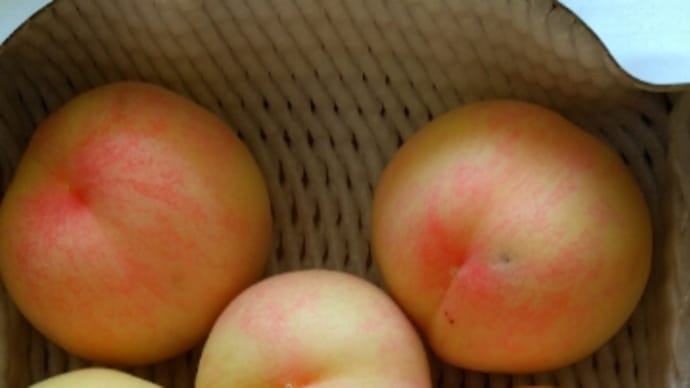 果物産地ならではの楽しみ