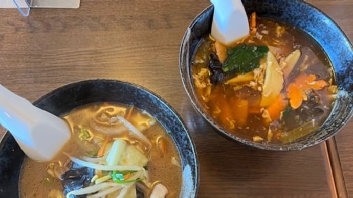 山茶華(さざんか)@郡山市