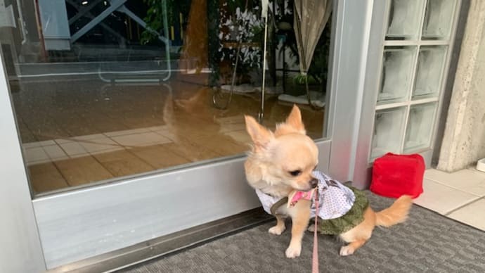 待つわ🎶