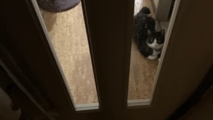 夜中のグルグル💕