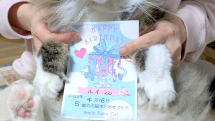 5歳のルイ君