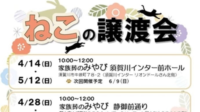 やっとこ金曜デー