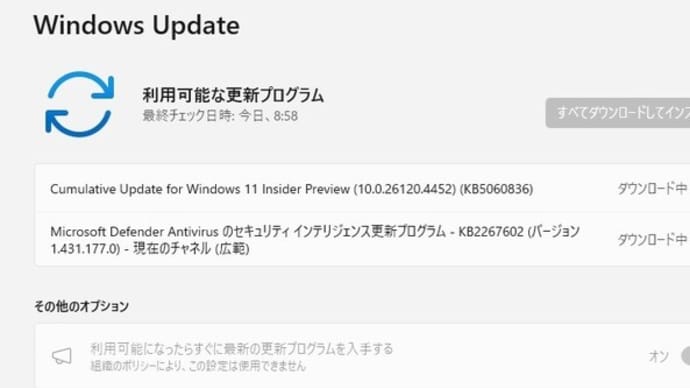 Windows 11 Beta チャンネルに 累積更新 (KB5060836) が配信されてきました。