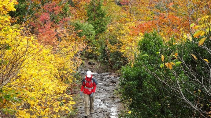 神の絨毯~栗駒山の紅葉