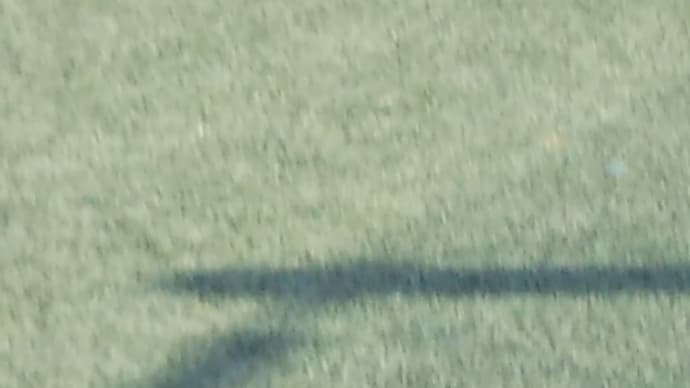 坂下 うりひゃっかい(゜ロ゜)決勝へ