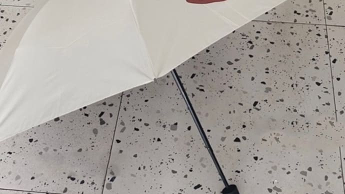 PayPayフリマで♪日傘お買い物(´▽`)ﾉ