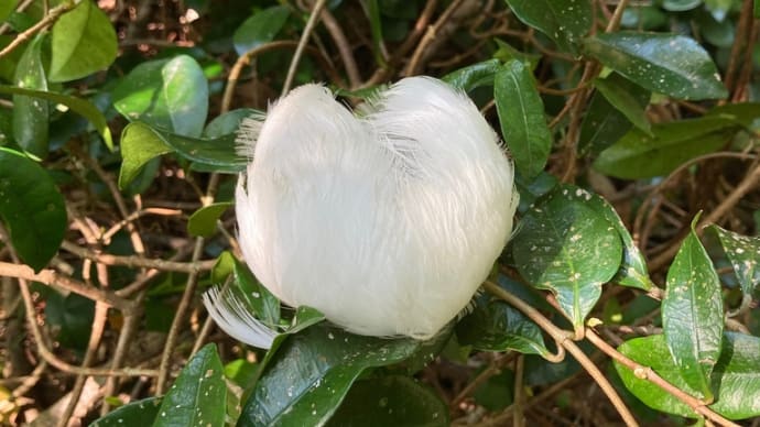 GWですな