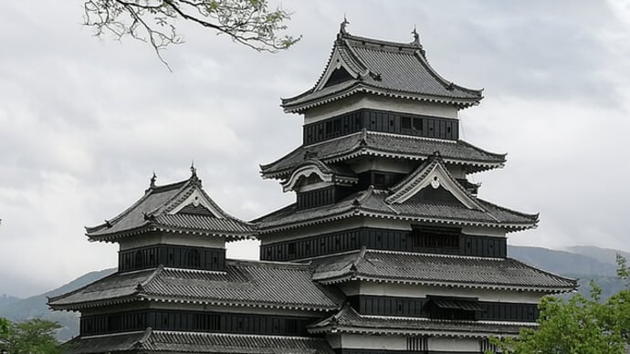 松本城には主がいた！