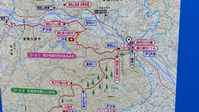 まむしとの遭遇