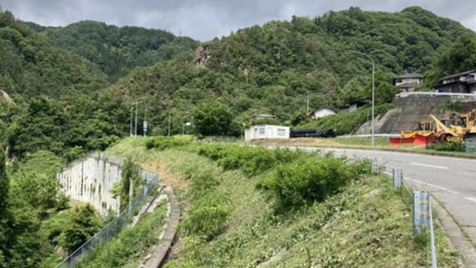 ハックルベリーの株分け・間引き、浅川ダム、ワイン畑