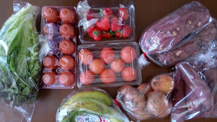 安売り八百屋でのお買い物 1月14日から2月4日