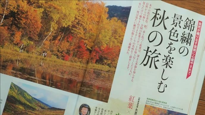'ゆうゆう 11月号' に4Pで '錦繍の景色を楽しむ秋の旅' を担当しています。