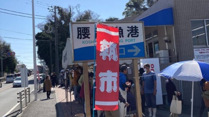 朝市開催しました