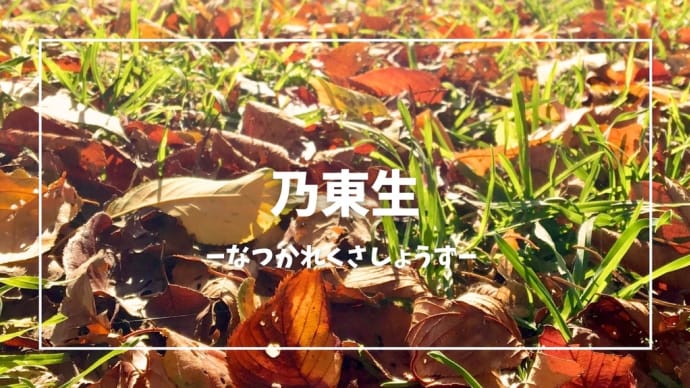 乃東生(冬至初候)