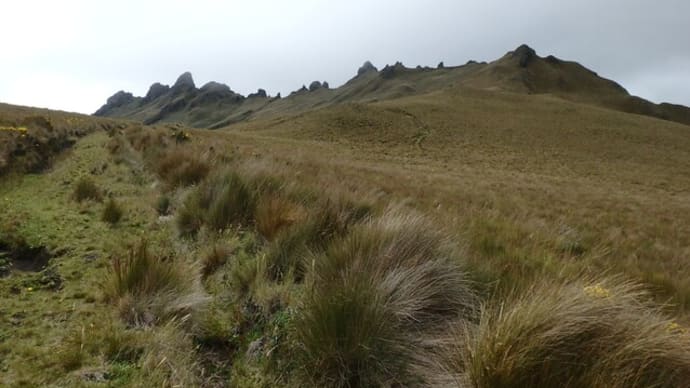 セロ・プンタスCerro Puntas(4356m)