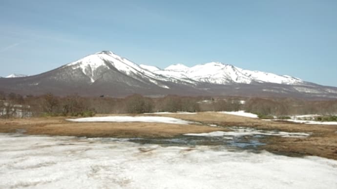 2025年5月1日 北八甲田山麓 東八甲田 箒場のようす