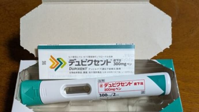 結節性痒疹のその後