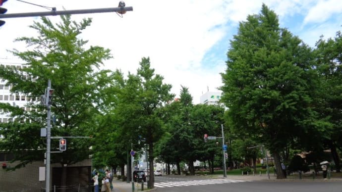 繋がっている公園