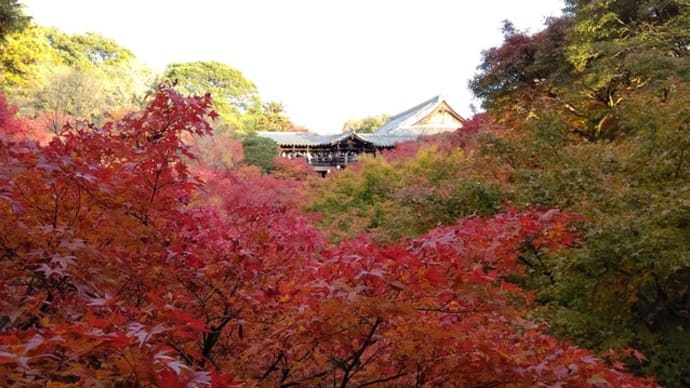 京都で紅葉狩り