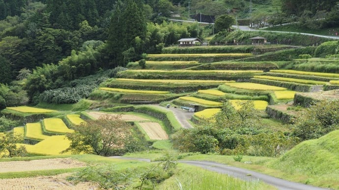 棚田とローカル線